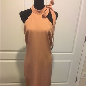 Pink dress no sleeve